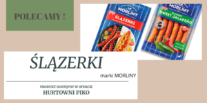 ŚLĄZERKI – czyli Śląsk w nowym wydaniu